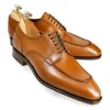 Store Carmina CHAUSSURE DERBY 80189 SIMPSON TANNED(DARKFINISH)