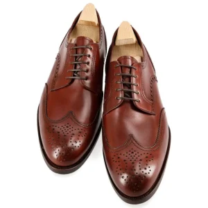 Hot Carmina CHAUSSURE DERBY 80659 TIMS BURGUNDY