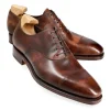 Fashion Carmina OXFORD A BOUT DROIT CHAUSSURES MARRON MUSEUM | BROWN